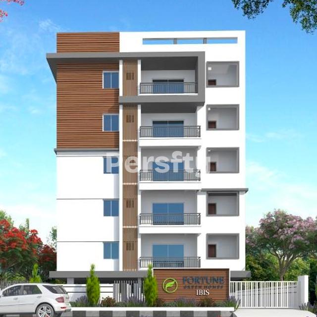 Fortune IBIS 2
