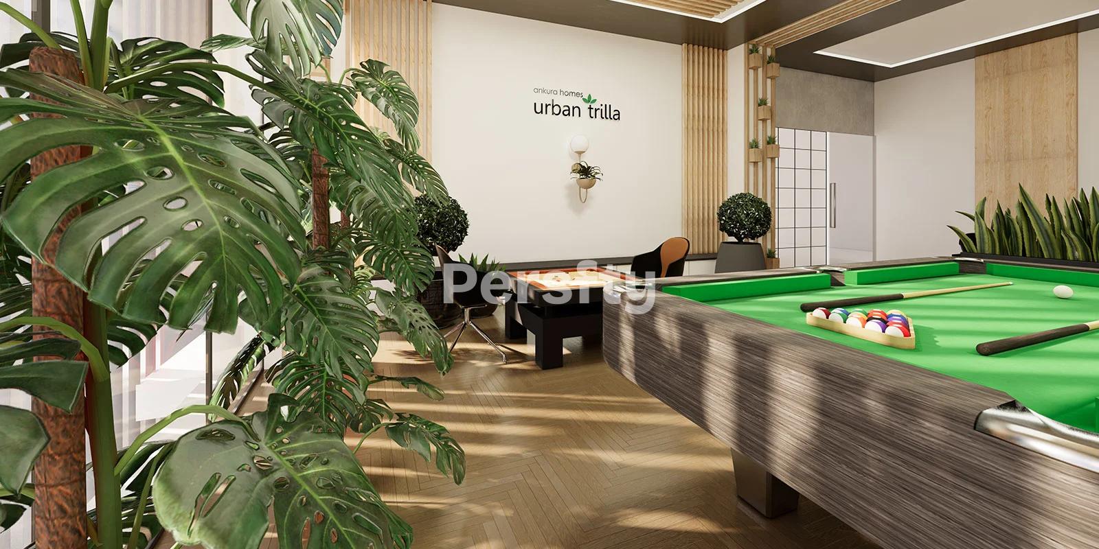 Ankura Urban Trilla 5