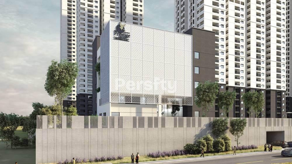 Prestige Tranquil 5