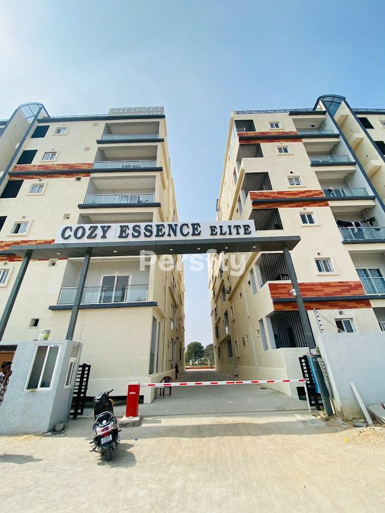 Cozy Essence Elite 2