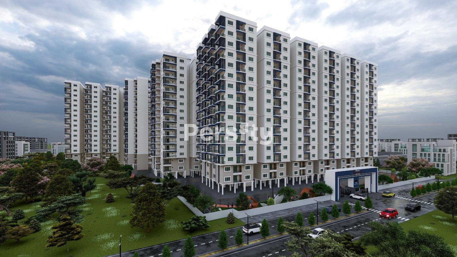 CSK Regal Oak 3