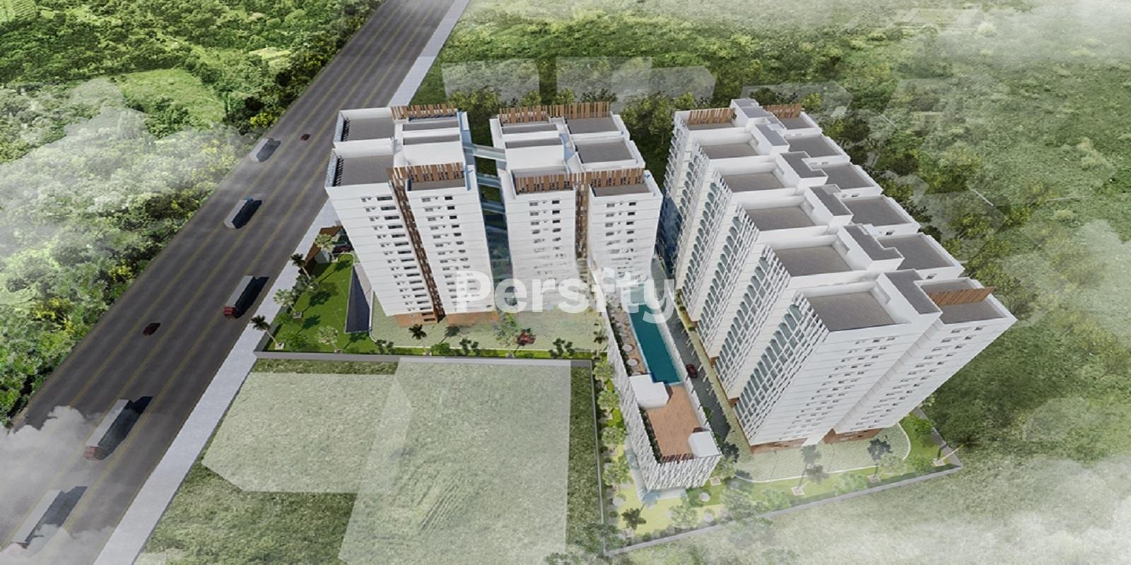 DEV Signature One 1