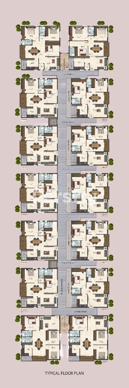 Jayas Diamond 2