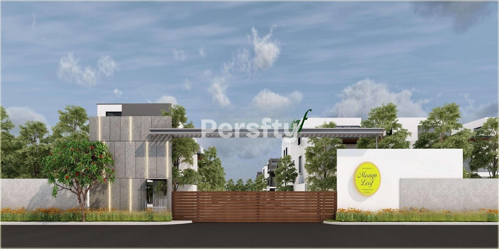 Kakatiya Mango Leaf Ext 4