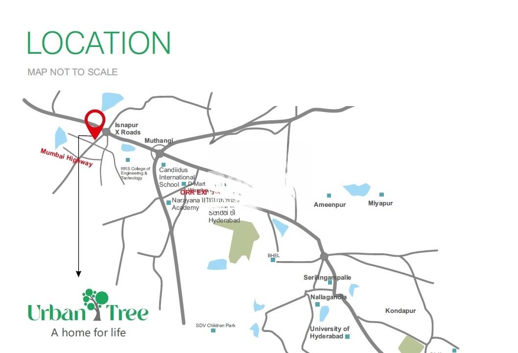 MKT Urban Tree 2