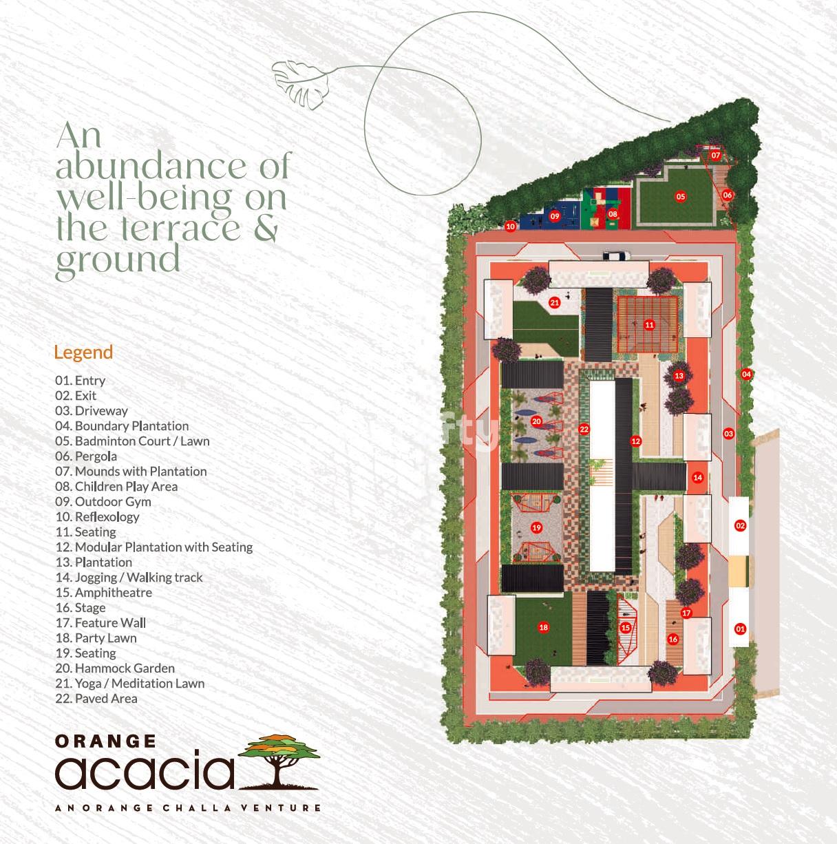 Orange Acacia 2