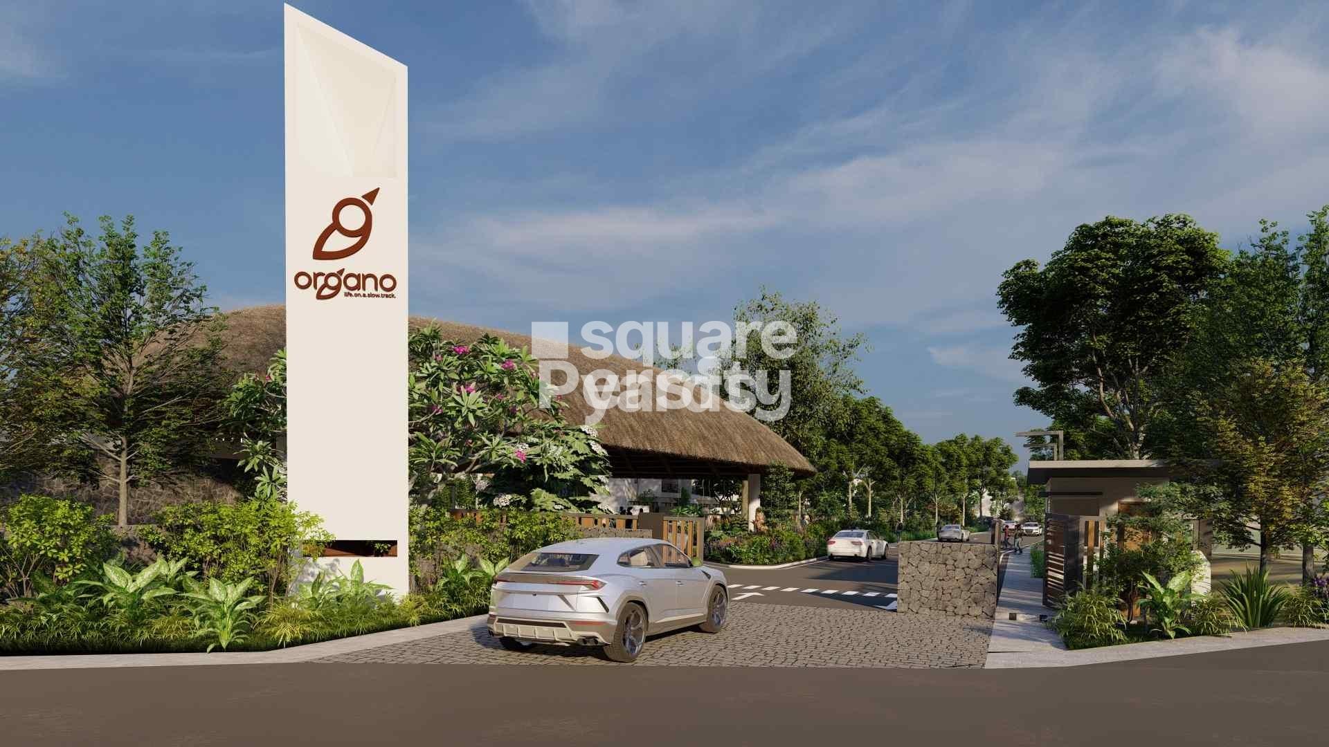 Organo Damaragidda 2