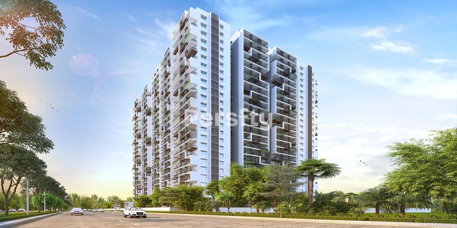 Pavani Felicity 1