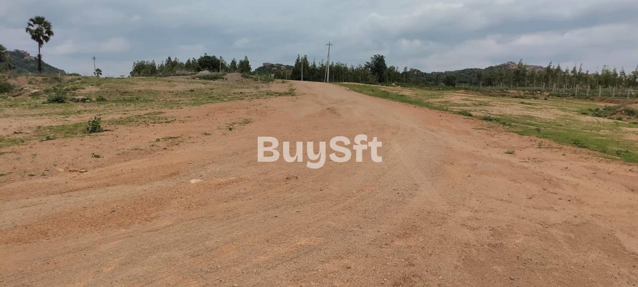 Indo ORR East Organica