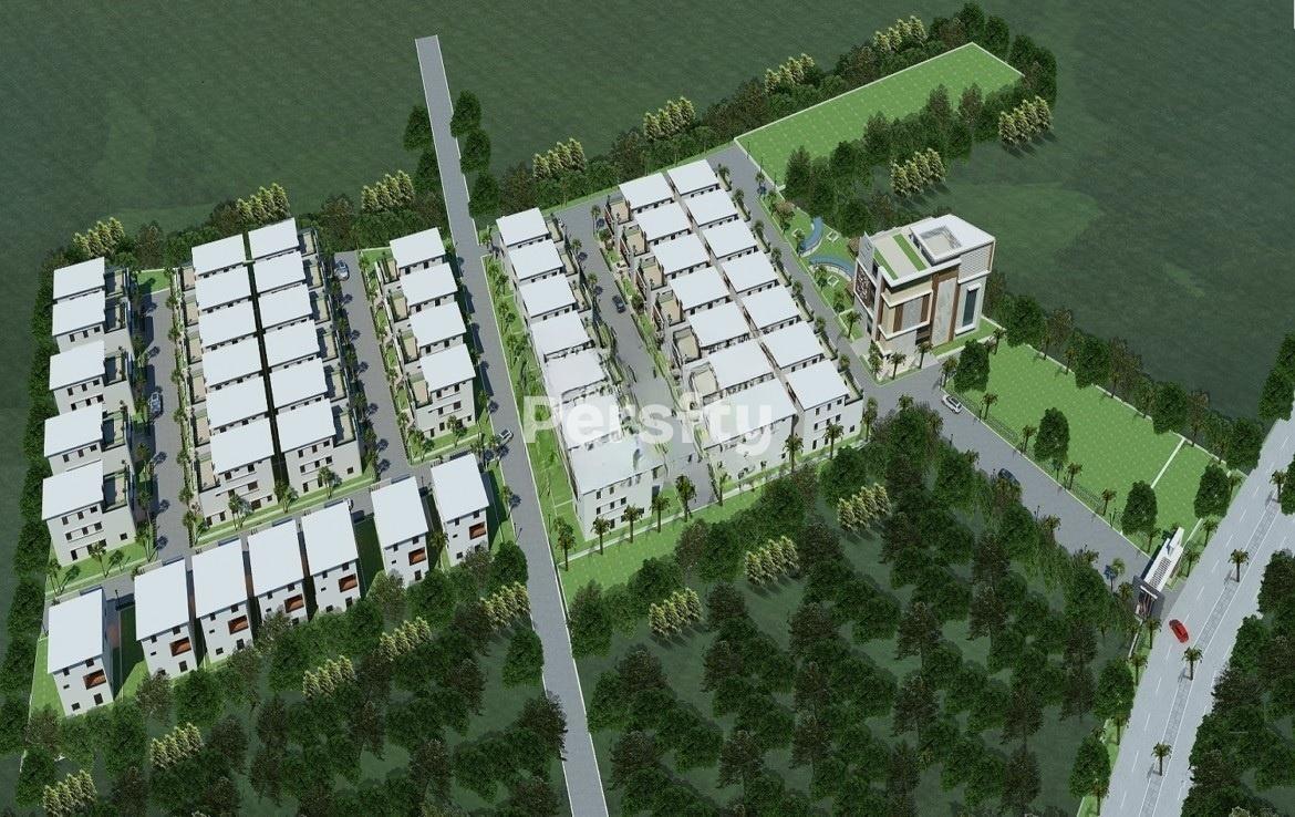 Shanta Sriram Brook woods 5