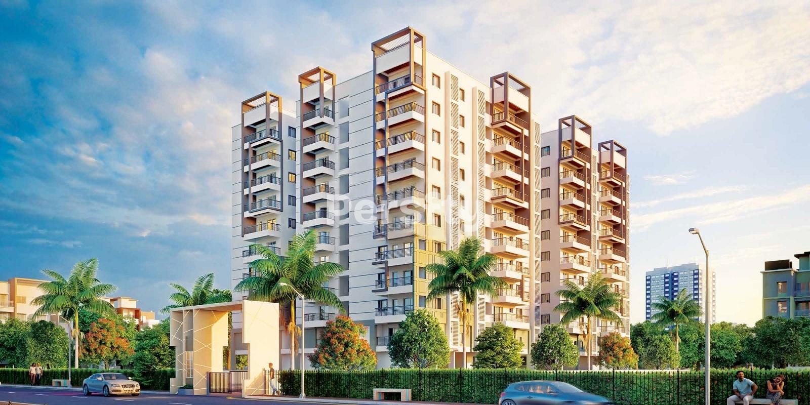 Signature Krishna Affinity 1