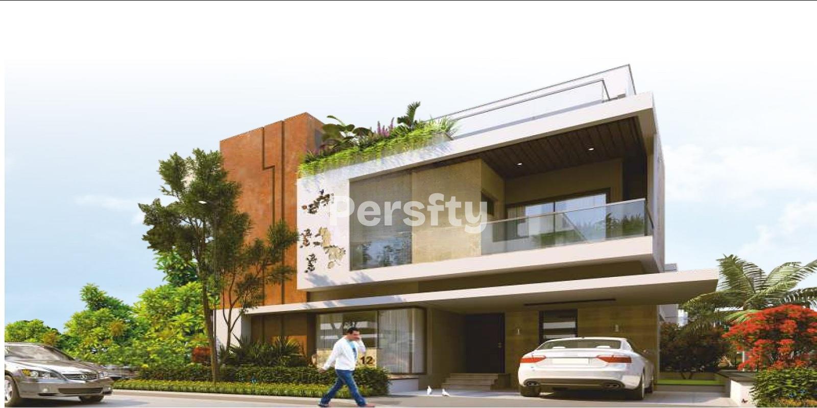 Vertex Bougainvillea 1